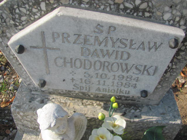 Przemysław Dawid Chodorowski  1984 Radwanice - Grobonet - Wyszukiwarka osób pochowanych