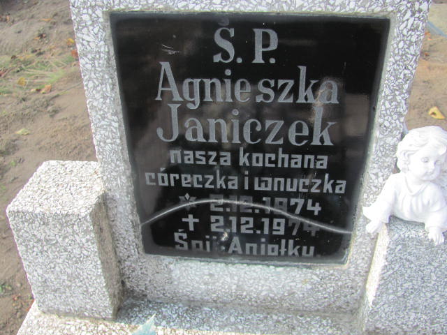 Agnieszka Janiczek  1974 Radwanice - Grobonet - Wyszukiwarka osób pochowanych
